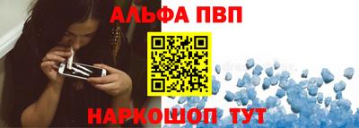 ешки Кингисепп