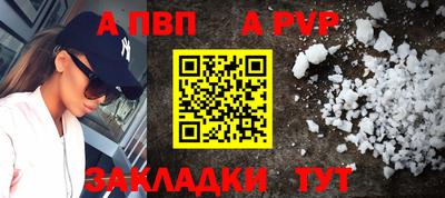 ешки Кингисепп