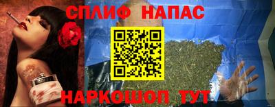 ешки Кингисепп