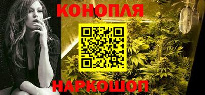 ешки Кингисепп