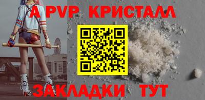 ешки Кингисепп