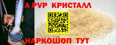 ешки Кингисепп