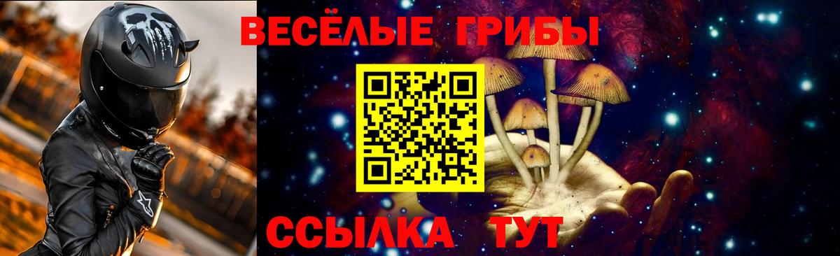 Ирбит  Галлюциногенные грибы Cubensis  купить закладку  Вход с VPN 